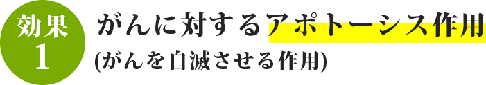 がん細胞画自ら死んでいくようにする作用